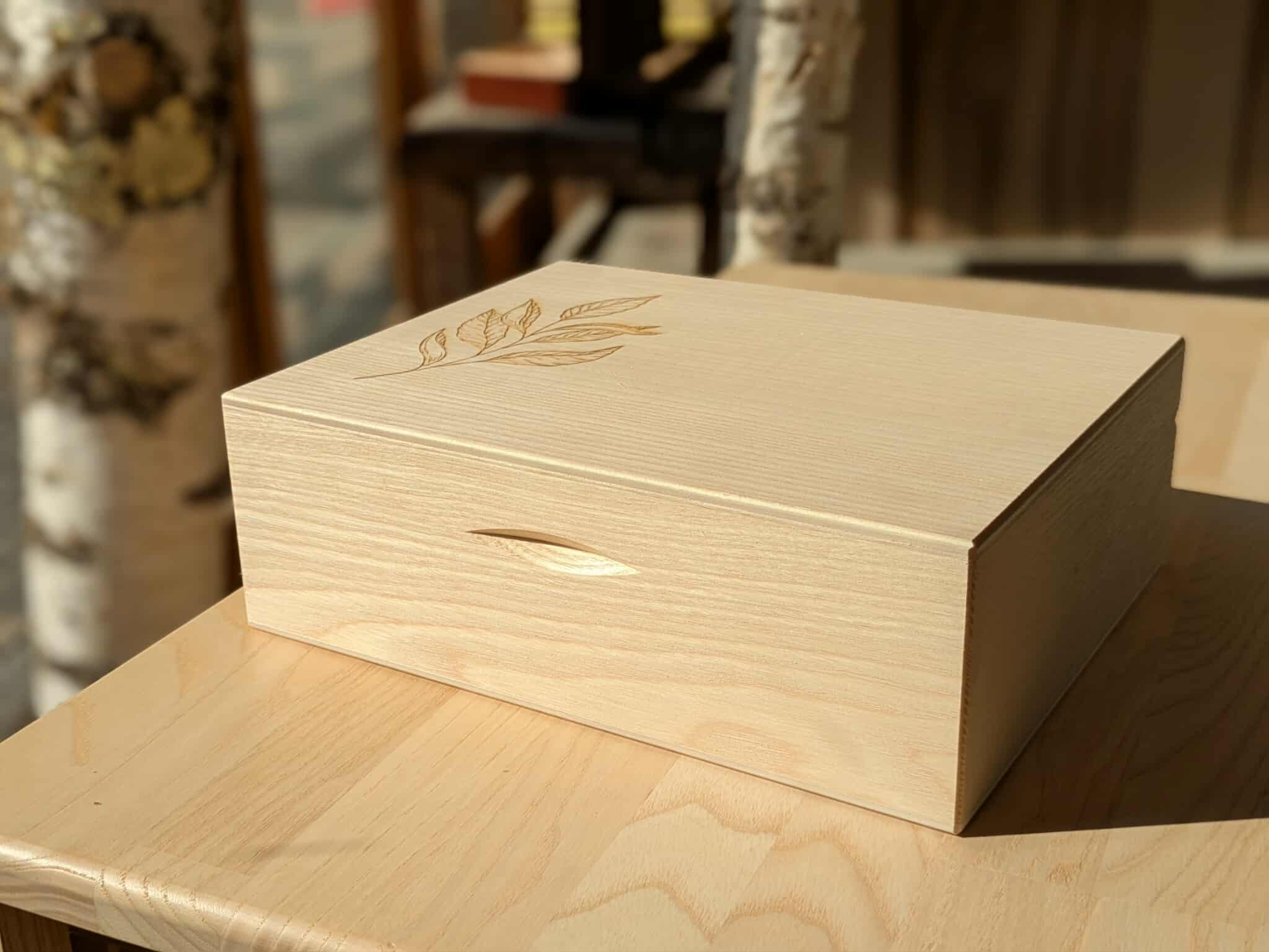 584900320_1891008751847009_4657855760576851501_n