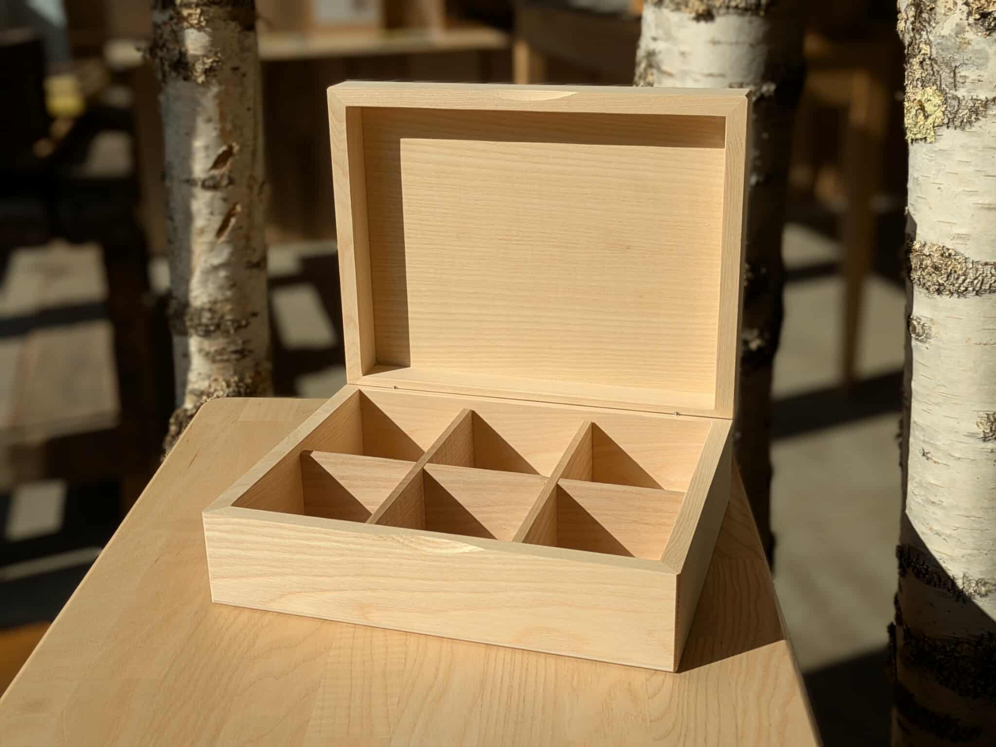 584900320_1891008751847009_4657855760576851501_n